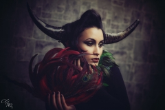 Taurus Horn Geweih Shooting