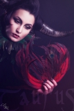 Taurus Horn Geweih Shooting