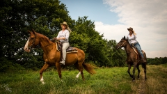 Pferd Mensch Shooting Merlin1