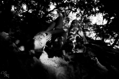 IMG_5209-small