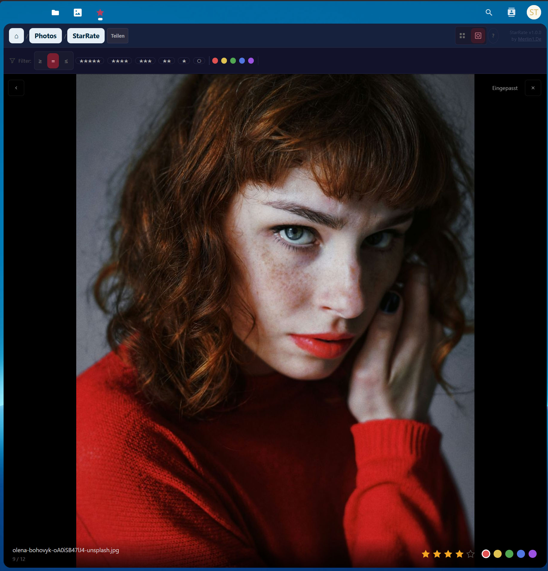 Loupe-Ansicht: Einzelbild mit Sternebewertung und Farb-Labels
